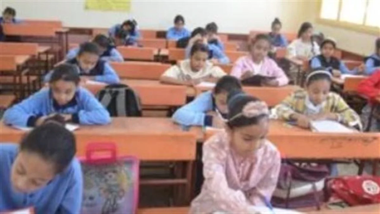 استعلم الآن.. نتائج الصف الخامس الابتدائي بالجيزة متاحة بالرقم القومي